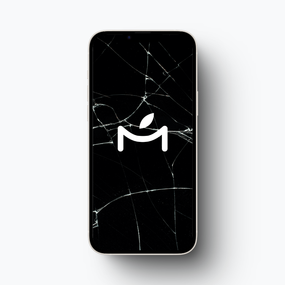 Cambio de Pantalla iPhone XR