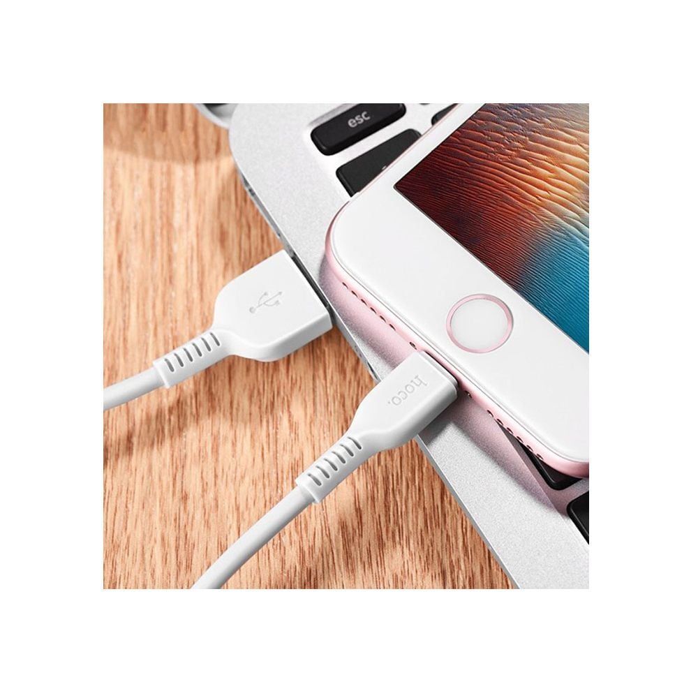 Cable Hoco X20 Lightning 1M