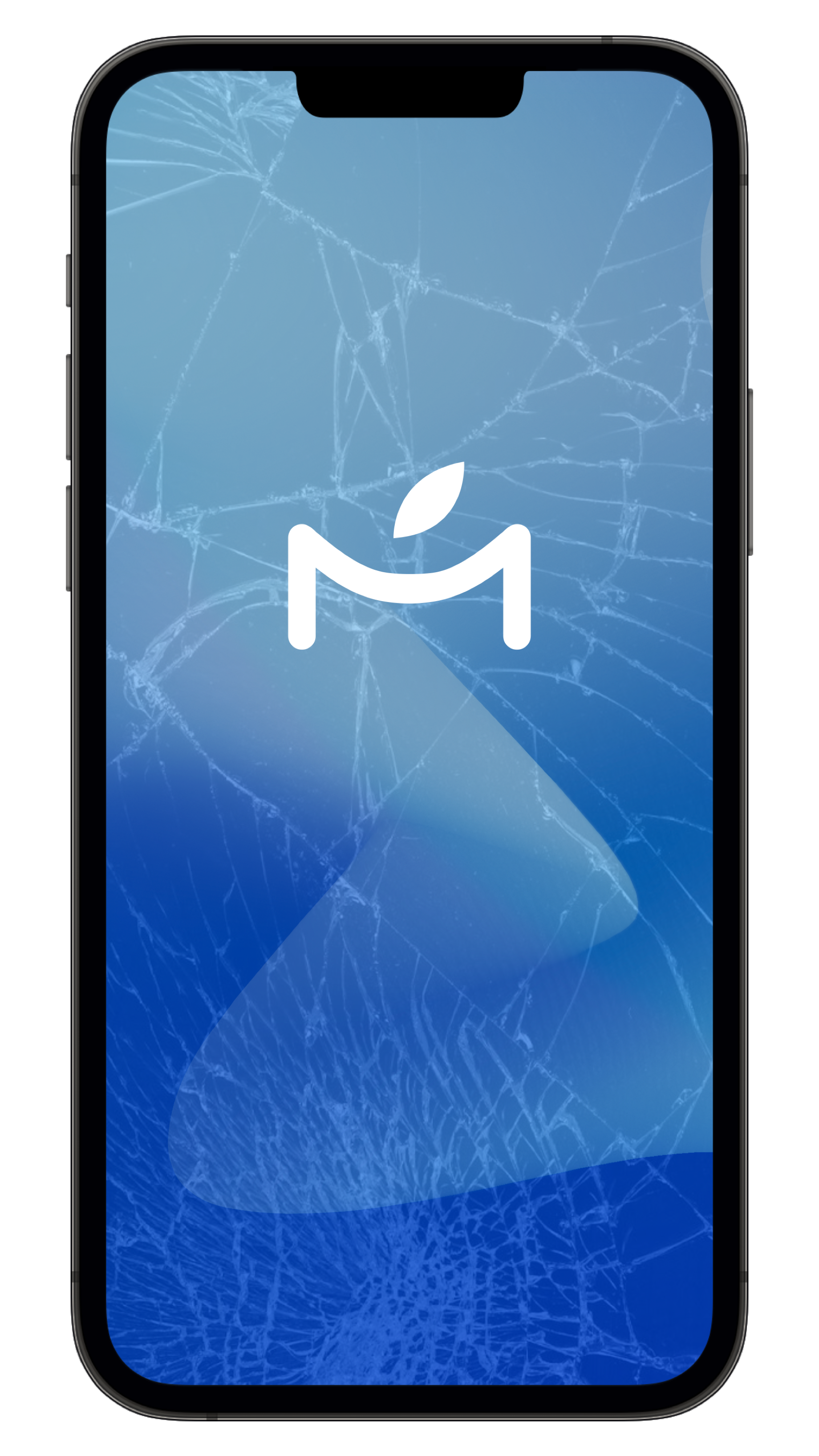 Cambio de Pantalla iPhone 13 Pro Max – MacTrade