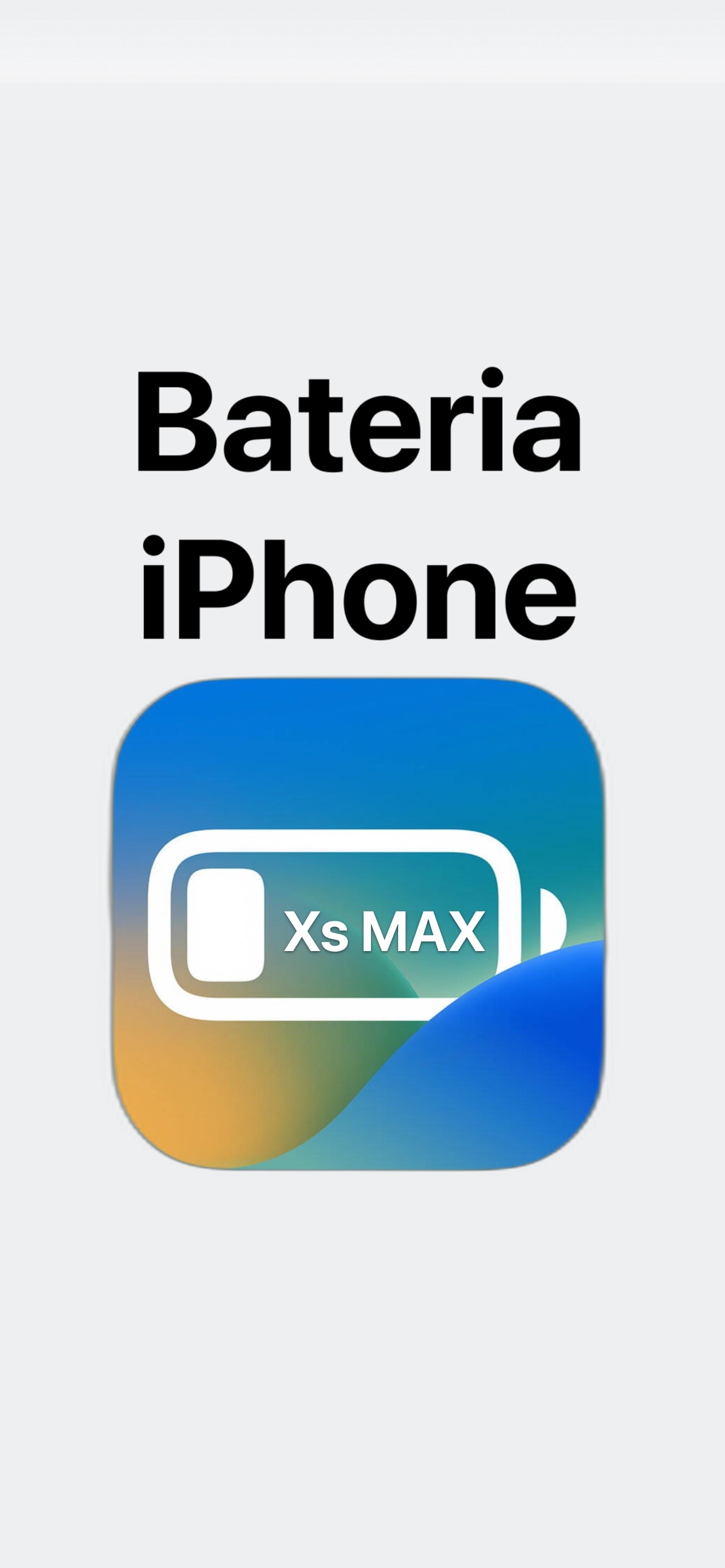 Cambio de Bateria iPhone XS MAX (Incluye Instalación)